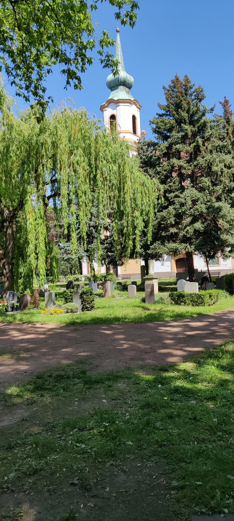 Blick auf die Matthäuskirche vom Friedhof